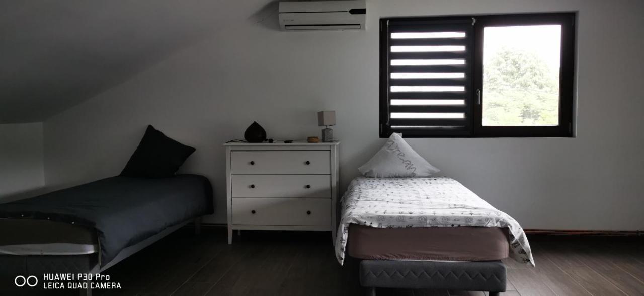 Orşova Luca'S Home מראה חיצוני תמונה